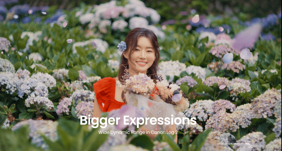 Canon Asia: Imagine Bigger Things | Emergent Films